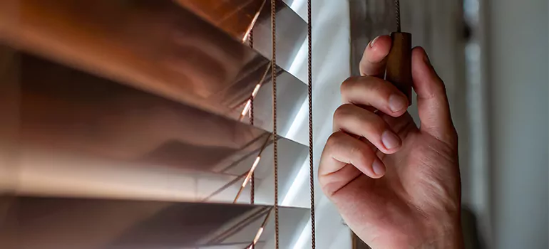 Double Roller Blinds in Vero Beach, FL